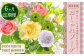 【6回定期便】 届いたら、いつもの花瓶に入れるだけ！簡単管理のおしゃれブーケ 初回花瓶付き、毎回延命剤付き