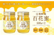 辻養蜂場 百花蜜 500g×2本 合計1kg 純粋はちみつ