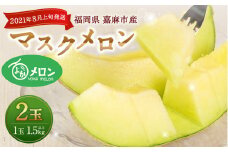 【8月上旬より順次発送予定】嘉麻市産 よかメロン 青肉 1.5kg以上×2玉 マスクメロン