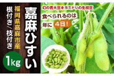【2022年10月下旬より順次発送】 嘉麻ひすい 枝豆 1kg  希少 青大豆 キヨミドリ