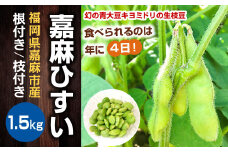 【2022年10月下旬より順次発送】 嘉麻ひすい 枝豆 1.5kg 希少 青大豆 キヨミドリ