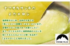 【2023年7月発送開始】 嘉麻市 産 よか メロン 青肉 2玉 マスクメロン