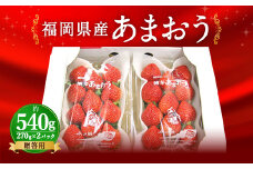 【2023年1月上旬発送開始】福岡県産いちご「あまおう」2パック