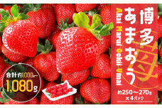 【2023年2月上旬発送開始】JAふくおか嘉穂 博多あまおう[2箱(250g～270g×4P)]いちご あまおう 果物 フルーツ