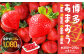 【2023年2月上旬発送開始】JAふくおか嘉穂 博多あまおう[2箱(250g～270g×4P)]いちご あまおう 果物 フルーツ