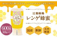 辻養蜂場 レンゲ蜂蜜 300g×2本 計600g はちみつ