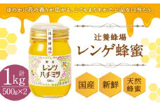 辻養蜂場 レンゲ蜂蜜 500g×2本 計1kg はちみつ