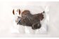 鹿肉 ジャーキー 350g ペットフード