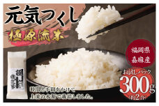 極源流米 お試し パック 約300g 元気つくし