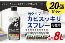 付替用 カビスッキリスプレー 防カビ お掃除 泡スプレー