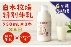 【6ヶ月定期便】 白木牧場 特別牛乳 750ml×3本 低温殺菌 牛乳 ジャージー牛乳 高品質 福岡県 嘉麻市