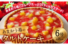 あまおう苺のタルトケーキ 6号（約18cm）4～6人分  ケーキ イチゴ いちご タルト スイーツ あまおう フルーツ カスタード 白桃 黄桃 ケーキ