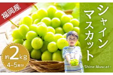 【2024年8月下旬～9月下旬発送】福岡県産シャインマスカット 約2kg 4~5房