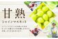 【訳あり品】福岡県産シャインマスカット 摘み落とし粒 約1kg