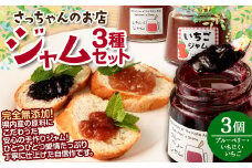 さっちゃんの店 ジャム 3種セット 各100g 3本セット （ブルーベリー・いちじく・いちご） 無添加 手作り 福岡県 嘉麻市