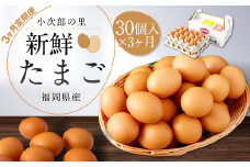【3ヶ月定期便】鶏卵 30ヶ入×3回 合計90個 たまご  福岡県産