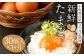【3ヶ月定期便】鶏卵 30ヶ入×3回 合計90個 