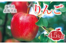 【2023年10月上旬から11月下旬迄順次発送】 りんご 4.5kg 九州産 シナノスイート 陽光 新世界 シナノゴールド ぐんま名月 果物 フルーツ