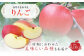 りんご 4.5kg 九州産