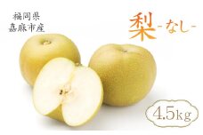 梨 4.5kg 九州産 二十世紀 豊水 南水 あきづき 新高 新興 王秋