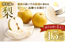 【家計応援】【数量限定】梨 4.5kg+1玉 【2025年9月下旬-12月下旬発送予定】 豊水 20世紀 新高 新興 果物 フルーツ
