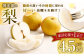 【家計応援】 梨 4.5kg+1玉