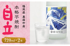 芋焼酎 自立 720ml(4合)×2本 25度 さつま芋 焼酎