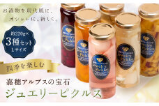 四季を楽しむ 嘉穂アルプスの宝石 ジュエリーピクルス 3種食べ比べ 約220g×3瓶 計660g アソート セット