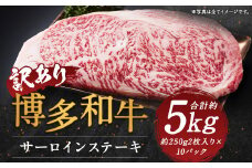 【訳あり】博多和牛サーロインステーキセット 約5kg(約250g2枚入り×10パック)