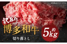 【訳あり】博多和牛切り落とし 約5kg(約500g×10パック)