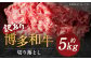 博多和牛切り落とし 約5kg(約500g×10パック)