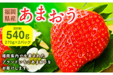 【2024年2月上旬～2024年4月下旬発送】福岡県産あまおう270g×2パック 合計540g いちご ブランド