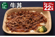 【1ヶ月毎11回定期便】 牛丼 計22個（2個×11回） 牛肉 牛 丼 うるち米 お米 惣菜 冷凍