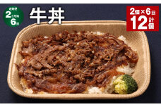【2ヶ月毎6回定期便】 牛丼 計12個（2個×6回） 牛肉 牛 丼 うるち米 お米 惣菜 冷凍