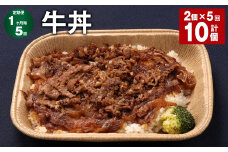 【1ヶ月毎5回定期便】 牛丼 計10個（2個×5回） 牛肉 牛 丼 うるち米 お米 惣菜 冷凍
