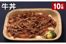 牛丼 300g 計10個 牛肉 牛 丼 うるち米 お米 惣菜 冷凍