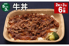 【5ヶ月毎3回定期便】 牛丼 計6個（2個×3回） 牛肉 牛 丼 うるち米 お米 惣菜 冷凍