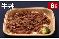 牛丼 300g 計6個 牛肉 牛 丼 うるち米 お米 惣菜 冷凍