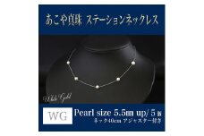 WG(K18) あこや真珠 ステーションネックレス (40㎝) 真珠サイズ5.5mm 真珠 ネックレス アクセサリー 装飾品 福岡県 嘉麻市