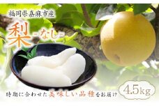 梨 4.5kg 【2025年8月上旬～12月上旬発送予定】 九州産 なし 果物 フルーツ