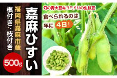 年に1度の青々とした若さをお届け！希少な嘉麻ひすい 根付き 枝付き 生枝豆 【2025年10月上旬～下旬発送予定】 希少 青大豆 キヨミドリ 