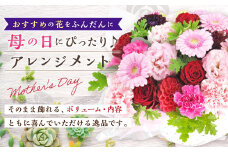【先行予約】 おすすめの花をふんだんに母の日ギフト用アレンジメント 母の日 ギフト 贈り物 アレンジメント 花