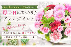【先行予約】母の日におすすめな、カーネーション、バラの入った豪華アレンジメント！！ 母の日 アレンジメント 花 器 贈り物 ギフト カーネーション バラ