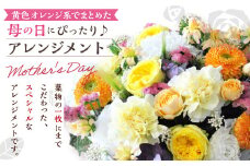 【先行予約】超豪華! 黄色 オレンジ系 でまとめた 母の日 にぴったりな アレンジメント ♪ 母の日 花 生花 フラワー アレンジメント オレンジ 黄色