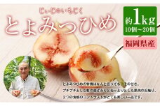 じぃじの いちじく【とよみつひめ】約1kg 【2025年8月上旬～10月下旬発送予定】 いちじく 果物 フルーツ 無花果 イチジク とよみつひめ 完熟