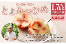 じぃじの いちじく【とよみつひめ】約1.7kg 【2025年8月上旬～10月下旬発送予定】 いちじく 果物 フルーツ 無花果 イチジク とよみつひめ 完熟