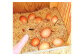 【平飼い有精卵】30個入（26個+割れ保証4個）