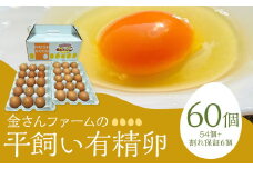 【平飼い有精卵】60個入（54個+割れ保証6個） たまご 卵 玉子 鶏卵 平飼い 有精卵