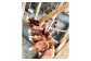 【定期便6回】【平飼い有精卵】30個入（26個+割れ保証4個）
