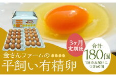 【定期便3回】【平飼い有精卵】60個入（54個+割れ保証6個） 合計180個 たまご 卵 玉子 鶏卵 平飼い 有精卵 定期便